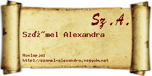 Számel Alexandra névjegykártya